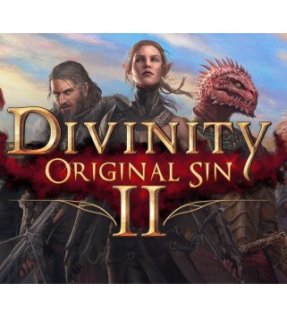 Divinity: Original Sin 2 - Divine Edition GOG.com Key GLOBAL